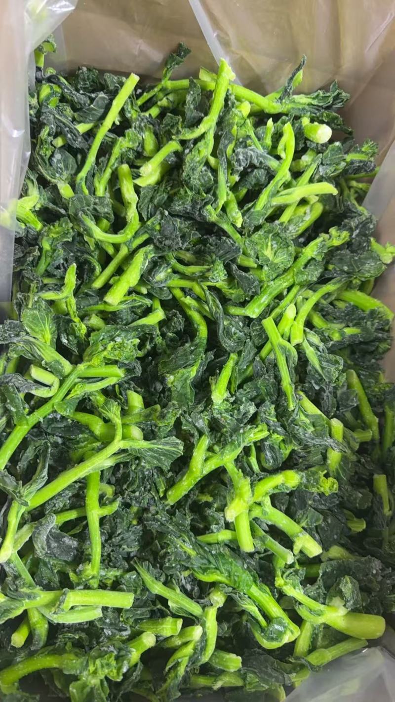 速冻二茌菜苔