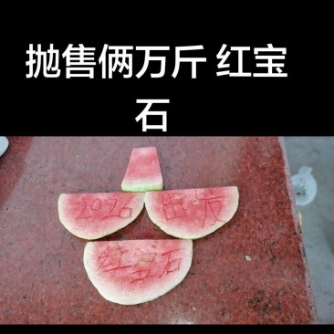红宝石芭乐番石榴少籽系列