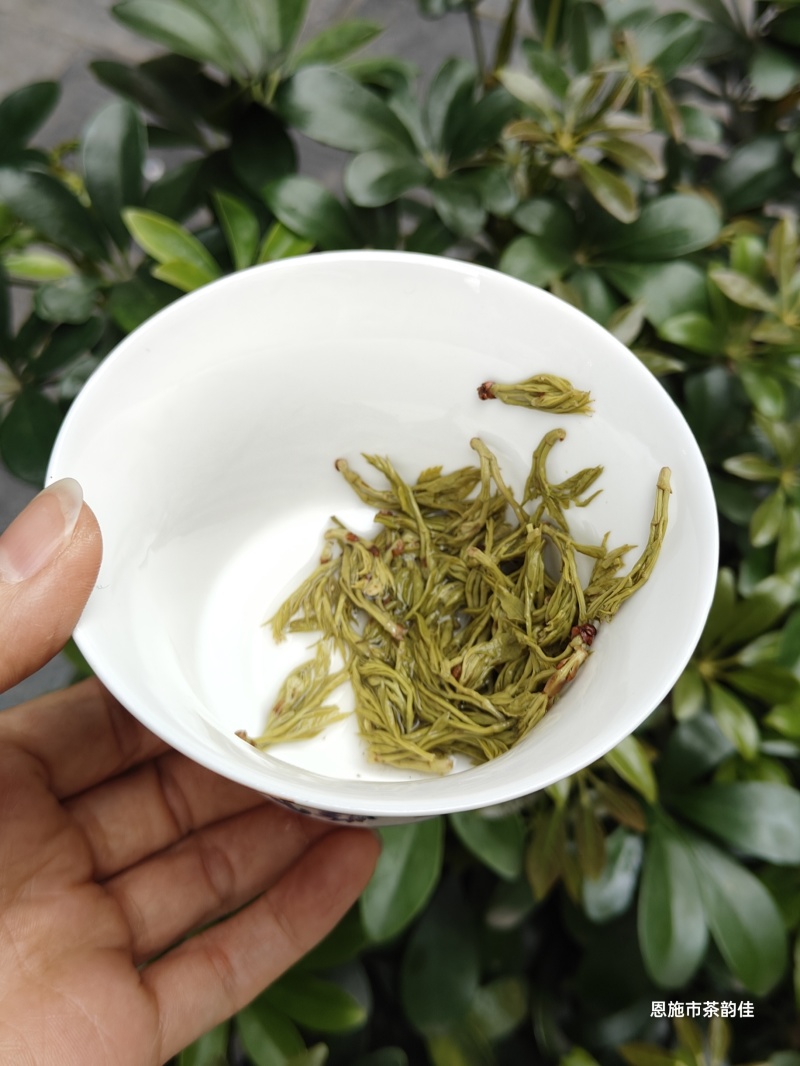 恩施藤茶2026明前春茶恩施来凤特级朵芽嫩芽藤茶一斤起批