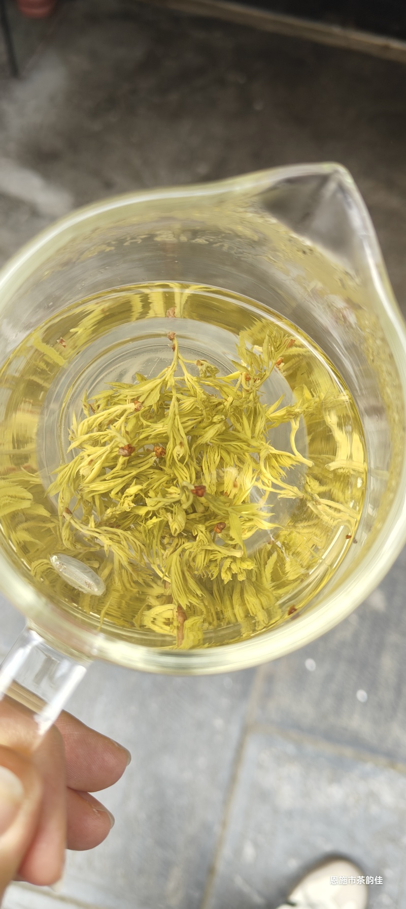 恩施藤茶2026明前春茶恩施来凤特级朵芽嫩芽藤茶一斤起批