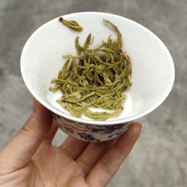 恩施藤茶2026明前春茶恩施来凤特级朵芽嫩芽藤茶一斤起批