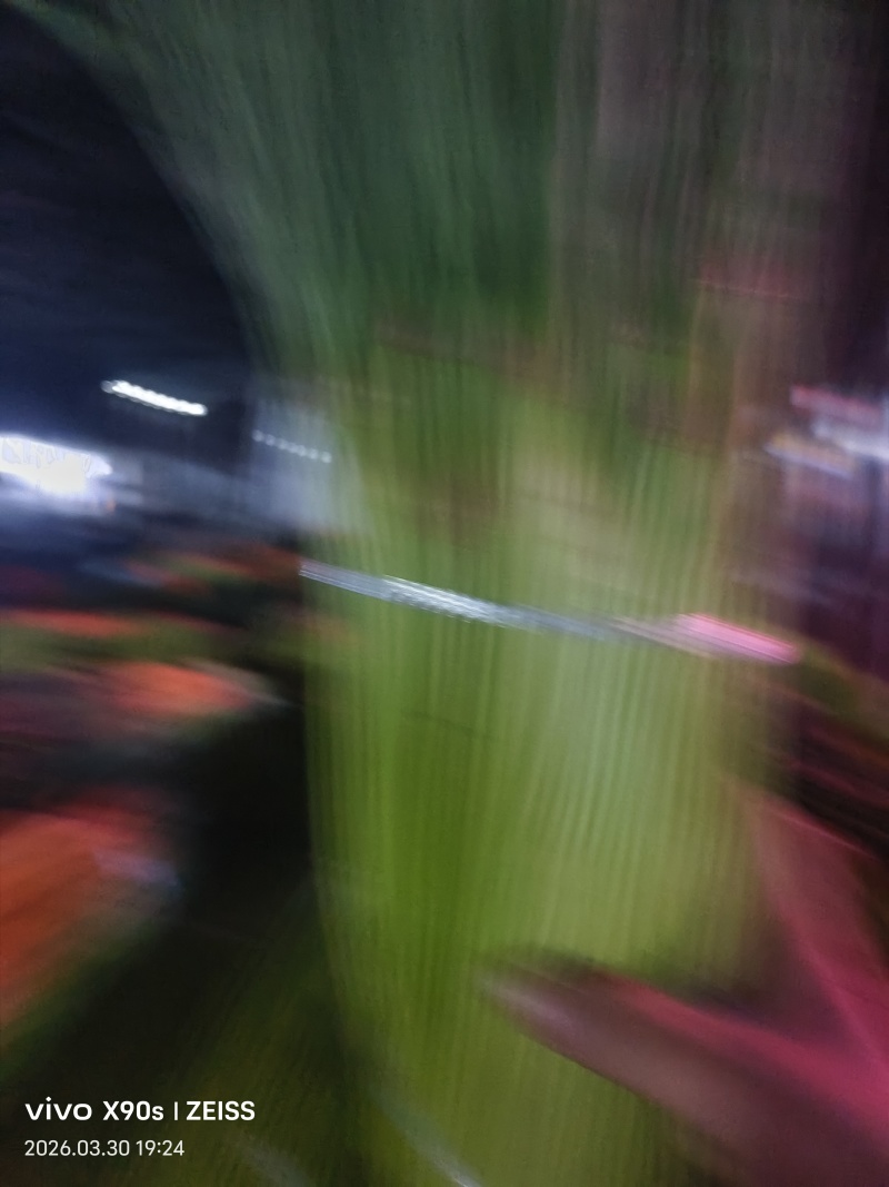 精品红帽蒜苔