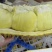 金枕榴莲一手批发，a果保5房，货源充足，质量保证