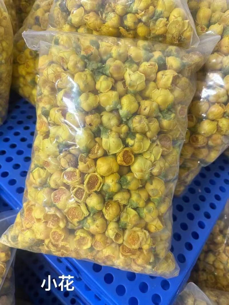防城港金花茶茶族皇后含400多种营养成分富含黄酮类皂苷类