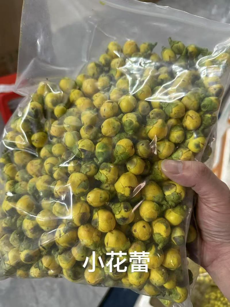防城港金花茶茶族皇后含400多种营养成分富含黄酮类皂苷类