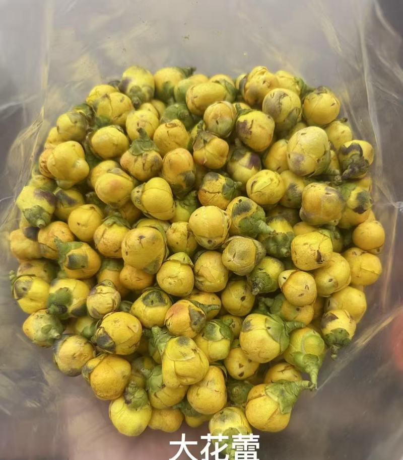 防城港金花茶茶族皇后含400多种营养成分富含黄酮类皂苷类