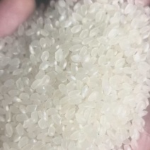新东北珍珠米，不掺碎