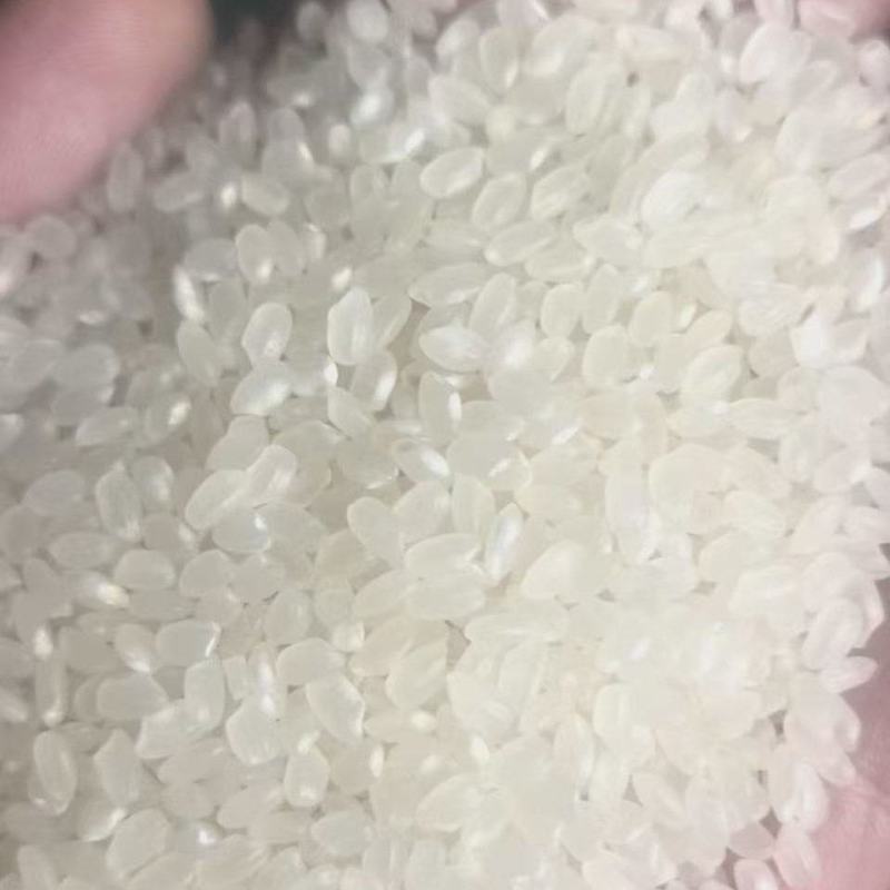 新东北珍珠米，不掺碎