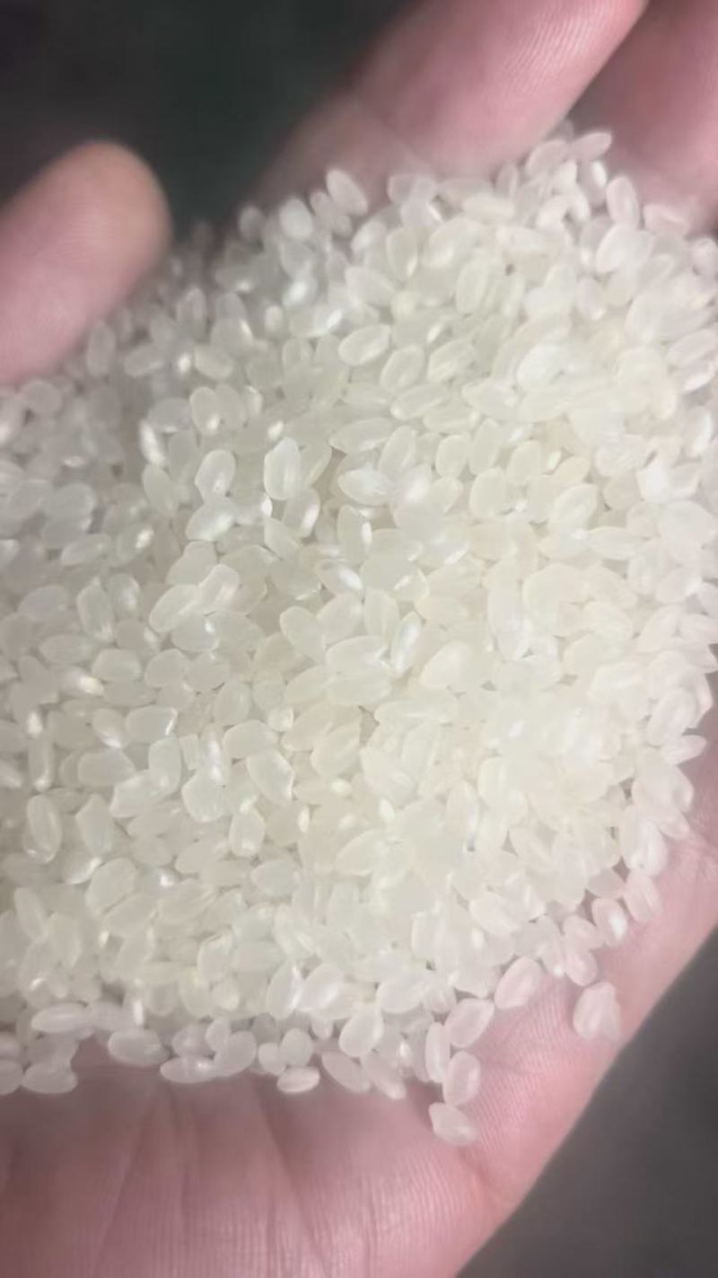 新东北珍珠米，不掺碎