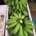 香甜的香蕉