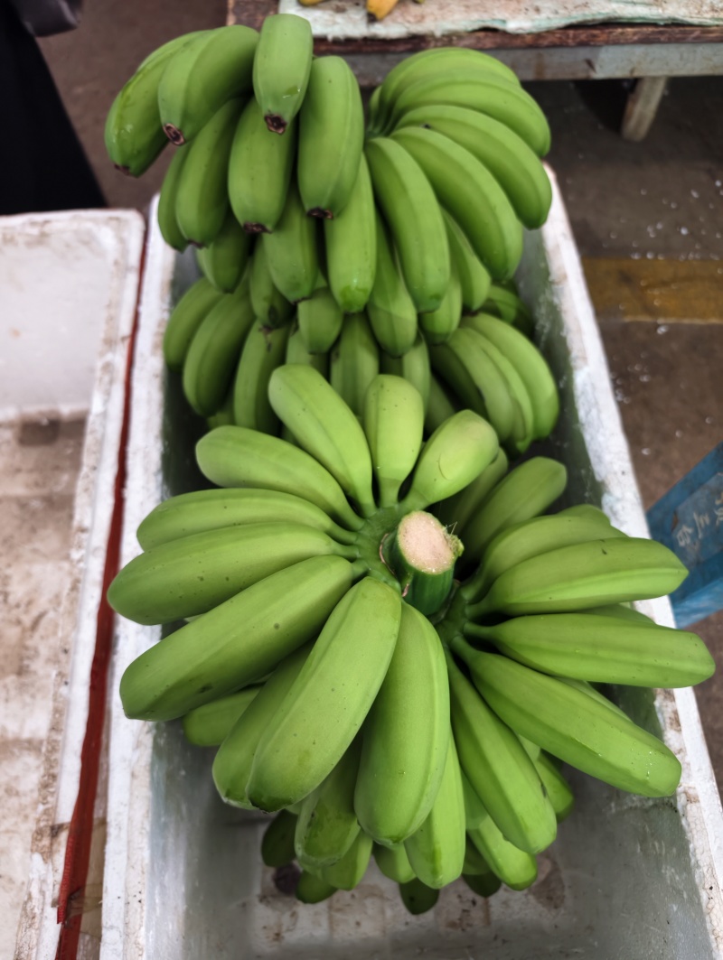 香甜的香蕉
