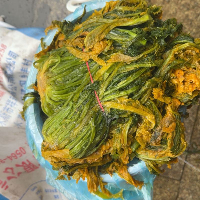 半青黄雪里蕻宁波酒店高档雪菜叠黄腌制净菜