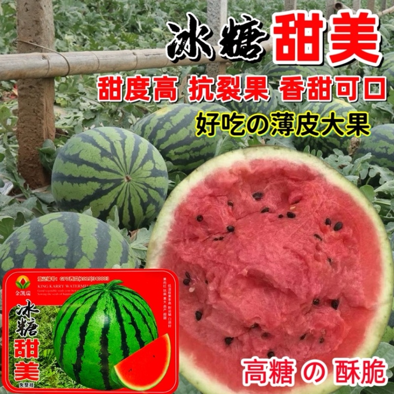 金凯瑞冰糖甜美原装40克