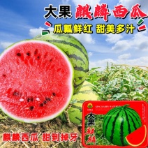 金凯瑞大果麒麟西瓜种子原装40克