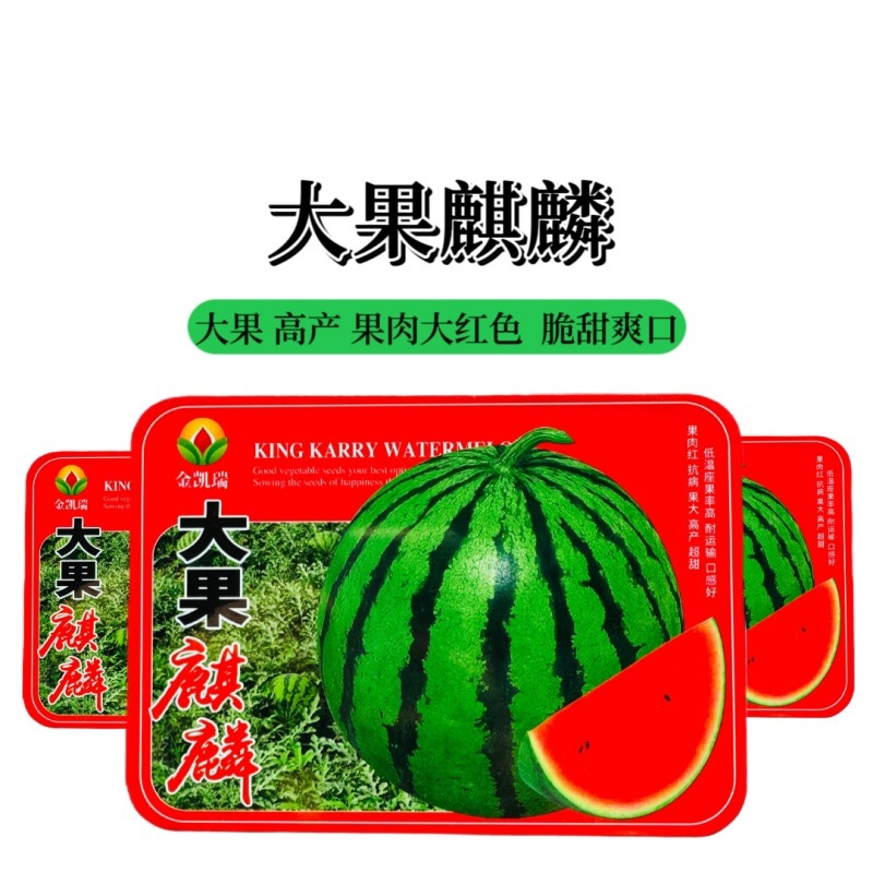 金凯瑞大果麒麟西瓜种子原装40克