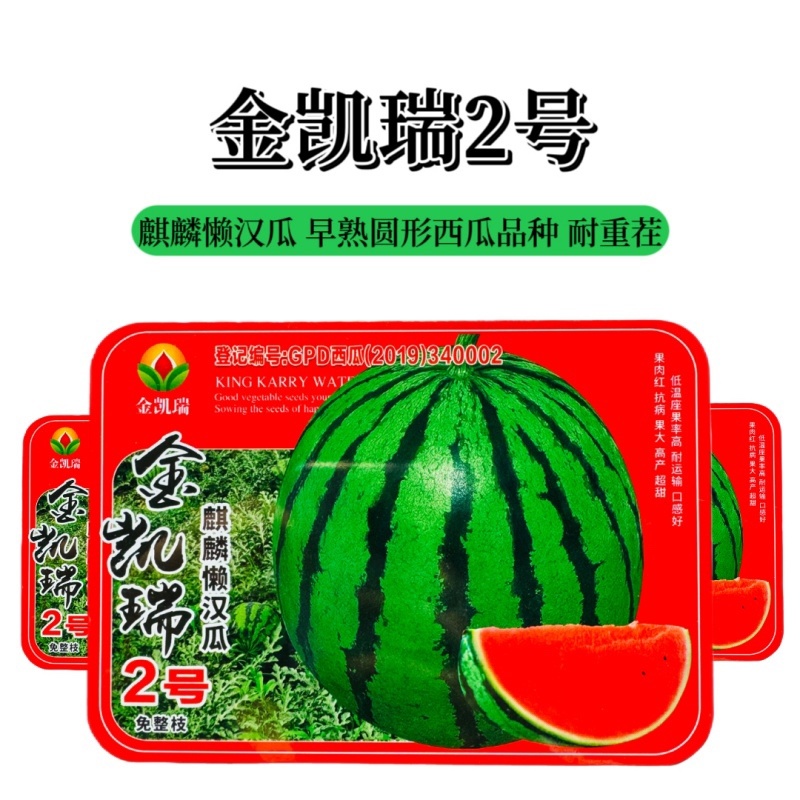 金凯瑞西瓜种子原装正品