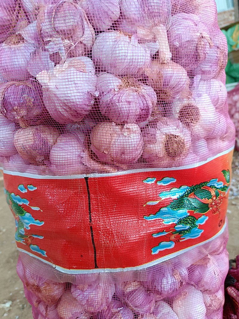 云南紫皮红蒜干蒜红香蒜2026新货大理产地直发
