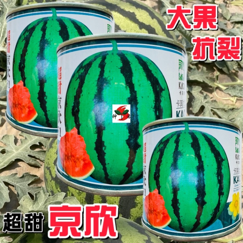 卡其超甜京欣原装1000粒