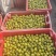 上海本地小番茄红黄青紫白各种品类小番茄自家种植