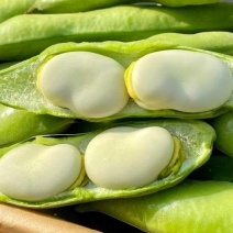 简阳本地胡豆大量上市物美价廉