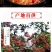 四川汉源花椒粒特麻青花椒青麻椒花椒粉干货调味料大