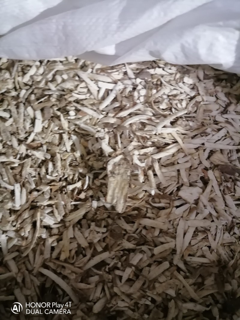 黄肉木薯碎