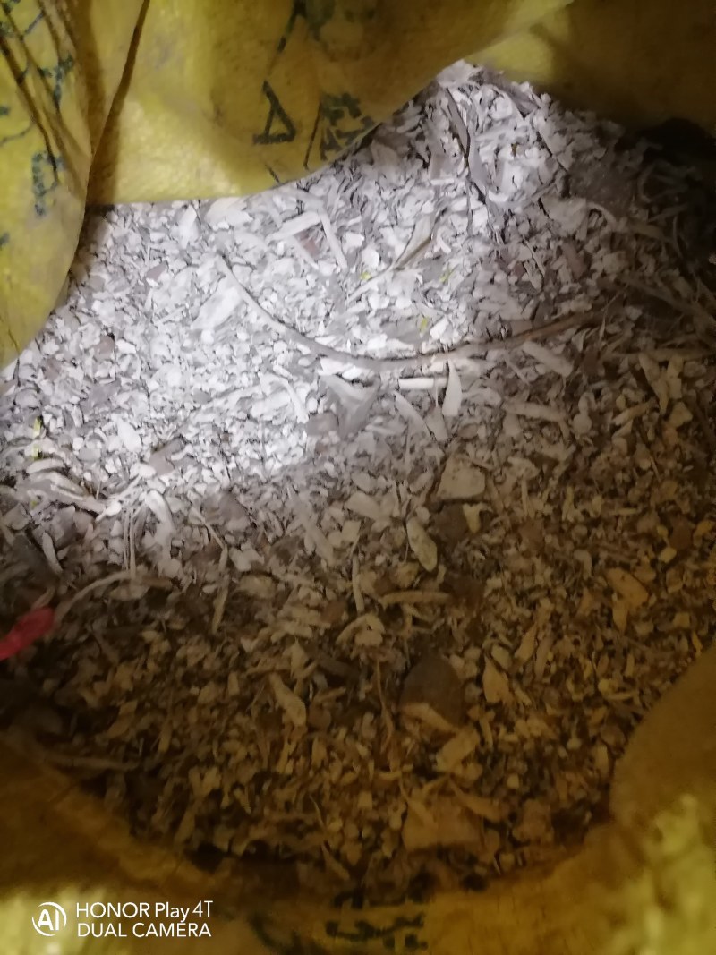 黄肉木薯碎