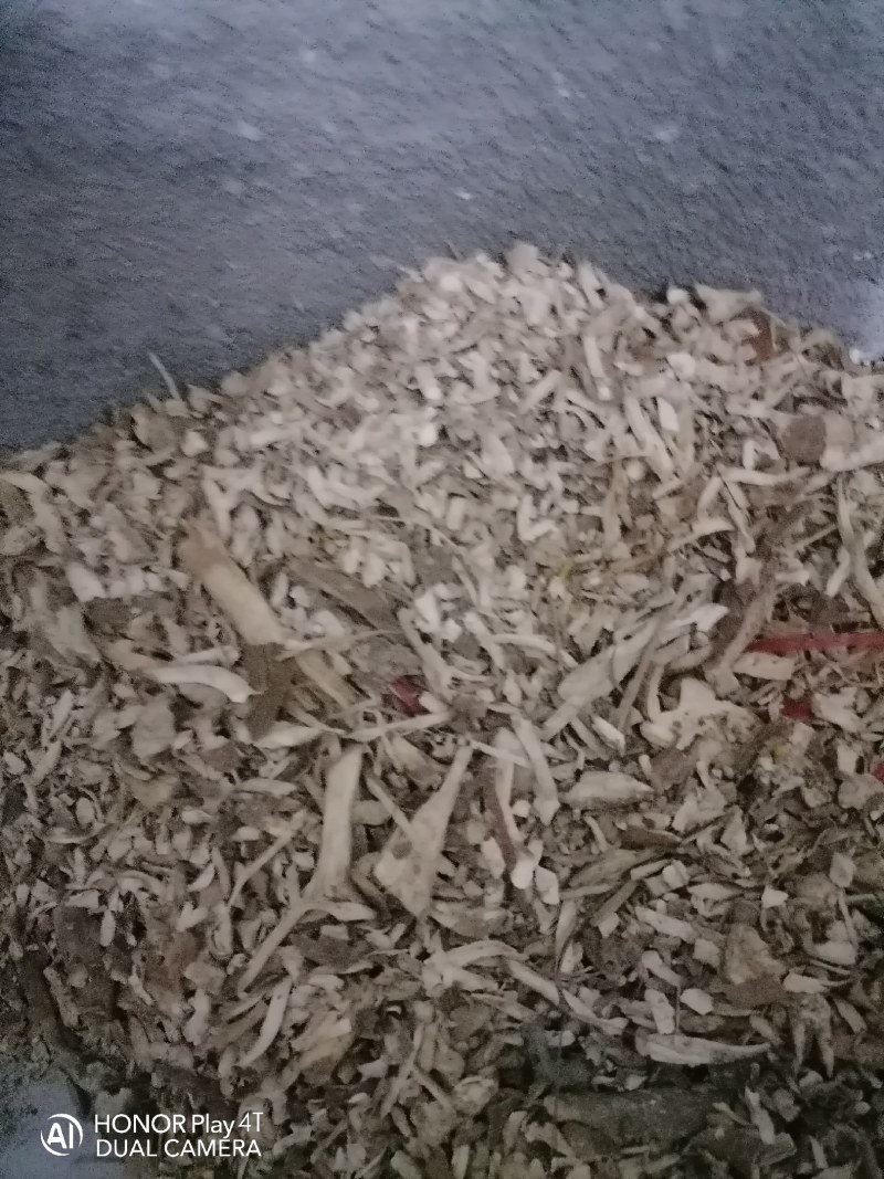 黄肉木薯碎