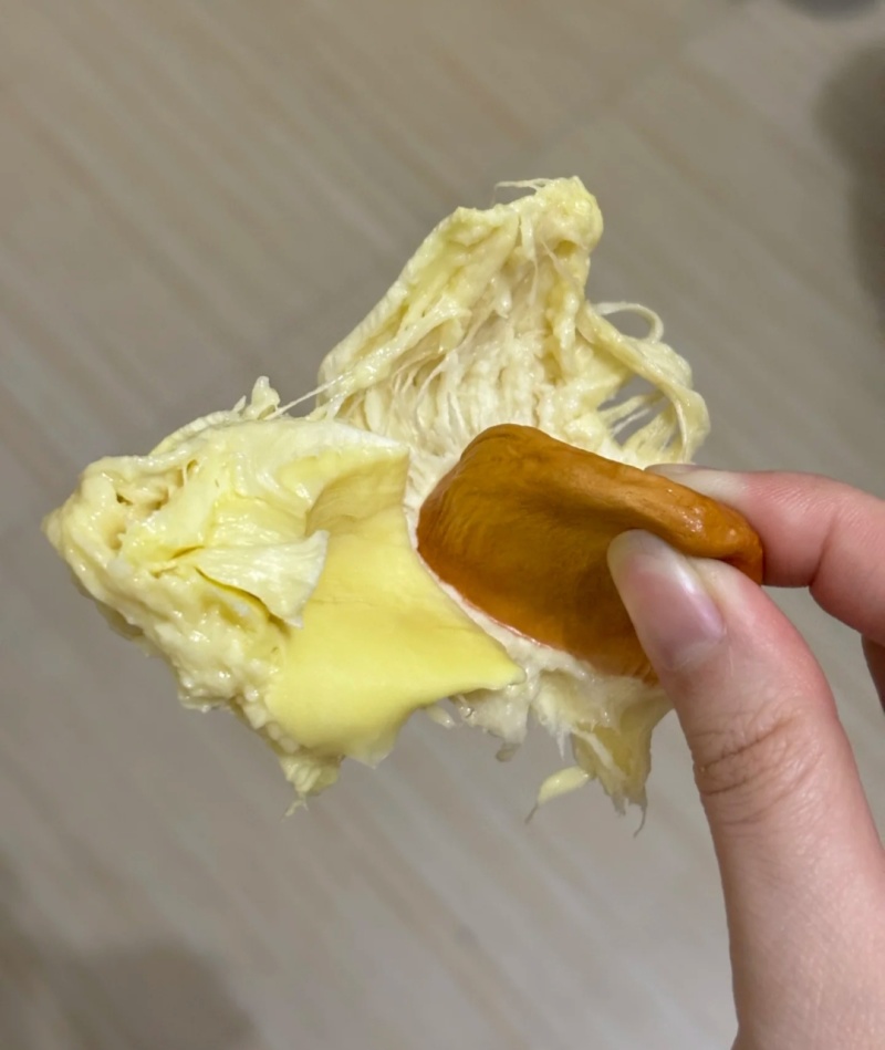 金枕榴莲一手批发价格，a果保5房，坏果包赔