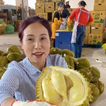 金枕榴莲一手批发价格，a果保5房，坏果包赔