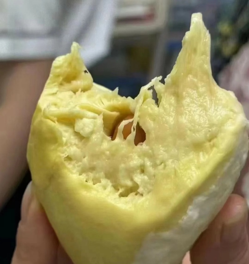 金枕榴莲一手批发价格，a果保5房，坏果包赔