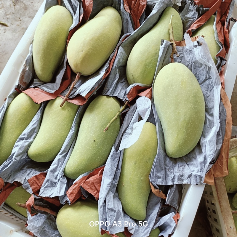 三两起