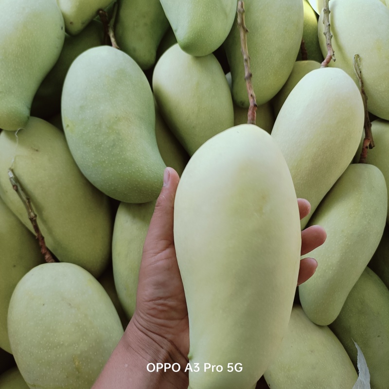 三两起
