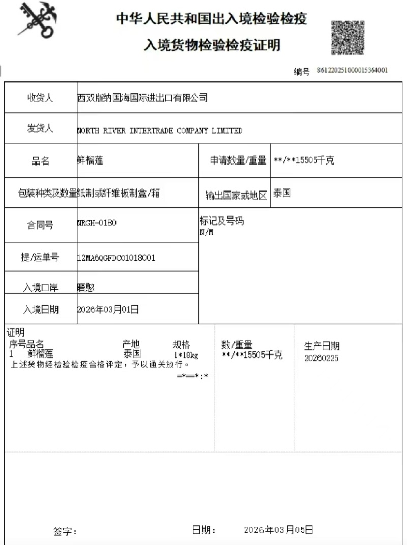 金枕榴莲一手批发价格，a果保5房，坏果包赔