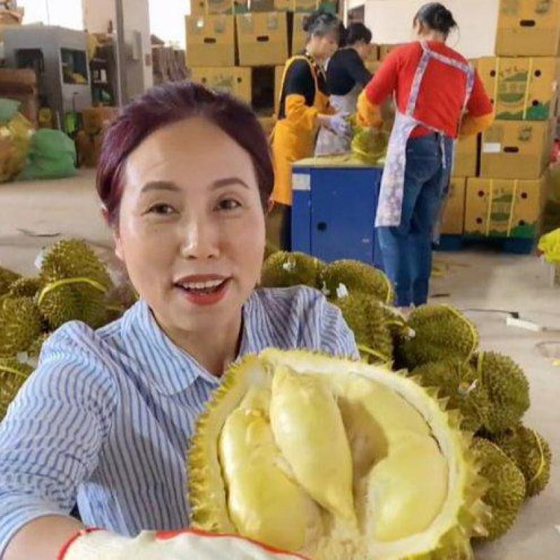金枕榴莲一手批发价格，a果保5房，坏果包赔