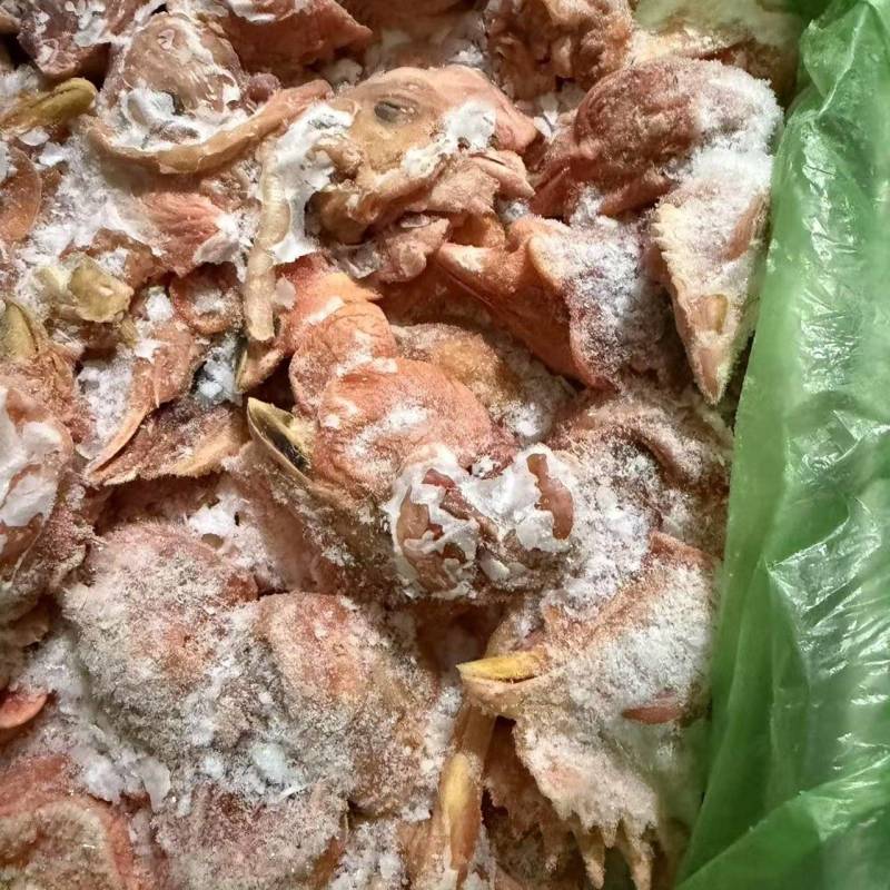 大量供应猪肺，肉粉，鸡头，鸡肠下脚料
