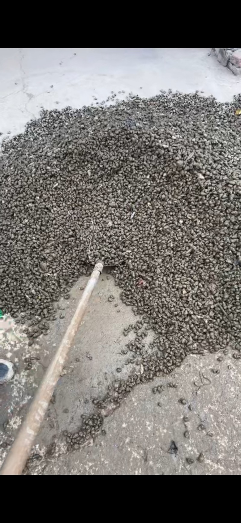 淡水资源，田螺