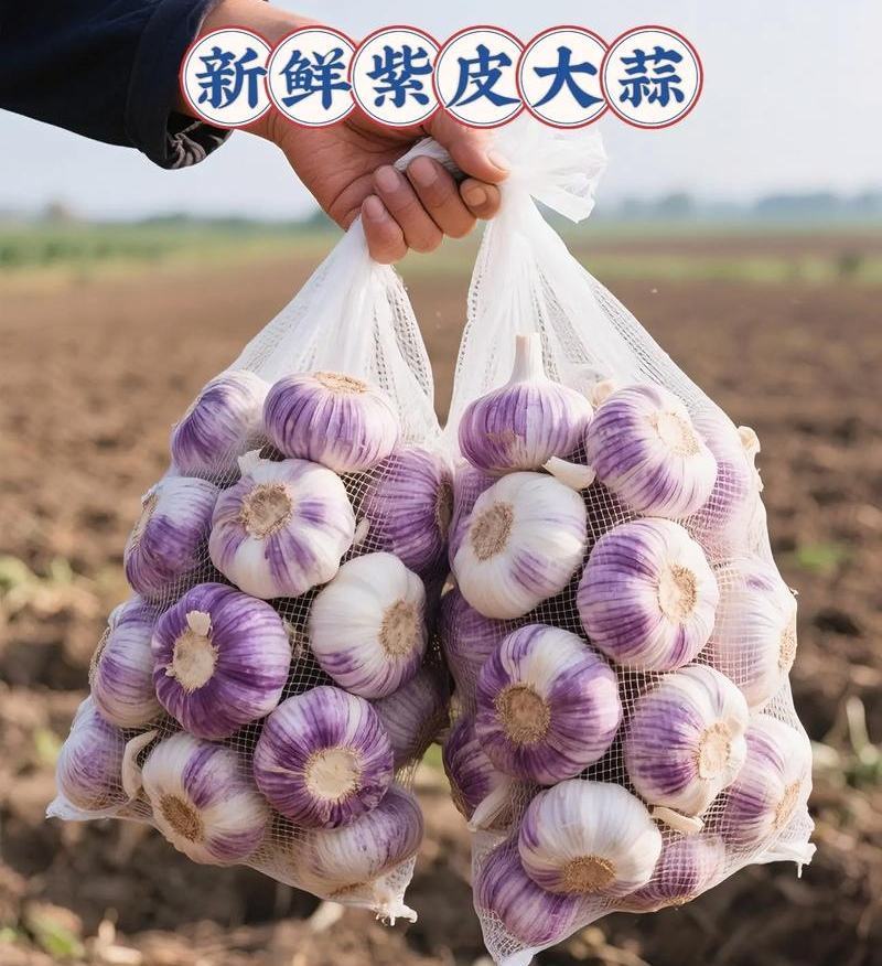 云南紫皮大蒜，产地直发，对接电商平台，商超市场！