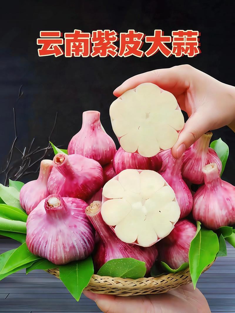 云南紫皮大蒜，产地大量供应！对接电商平台，商超市场！
