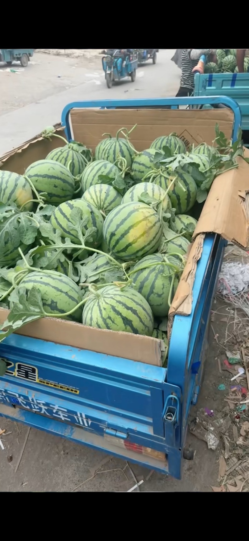 安徽宿州精品无籽美都西瓜，新鲜采摘皮薄肉厚，瓤红糖份高。