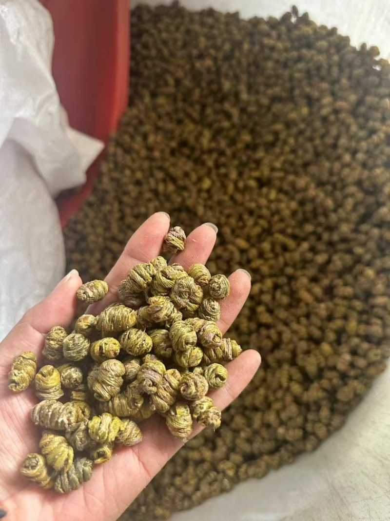 铁加石斛胶质性价比高