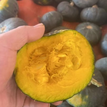 贝贝南瓜