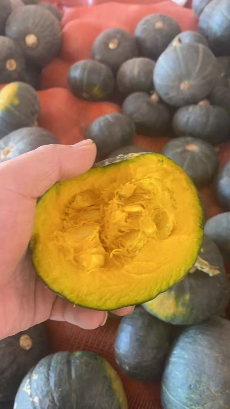 贝贝南瓜