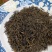 江西浮梁高山红茶首采嫩芽毛尖茶1斤装