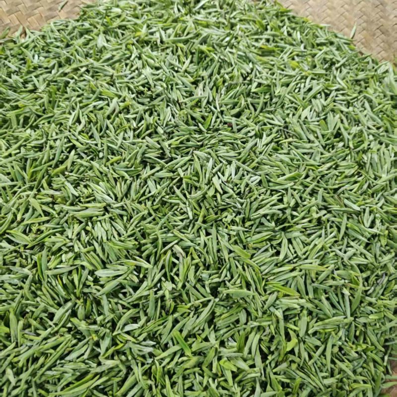 江西浮梁高山红茶首采嫩芽毛尖茶1斤装