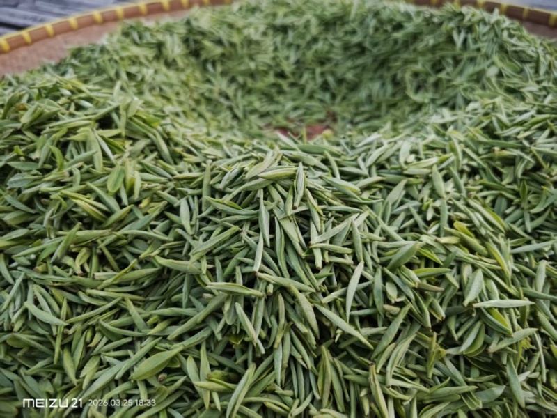 江西浮梁高山红茶首采嫩芽毛尖茶1斤装