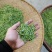 江西浮梁高山红茶首采嫩芽毛尖茶1斤装
