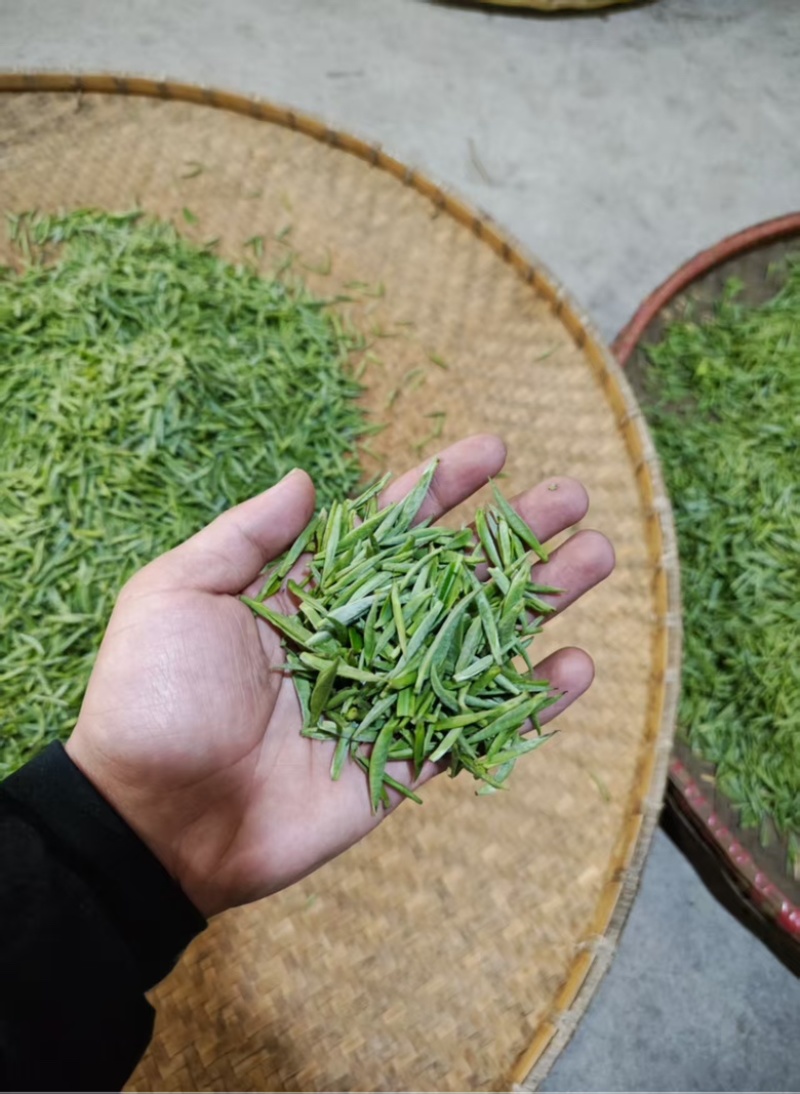 江西浮梁高山红茶首采嫩芽毛尖茶1斤装