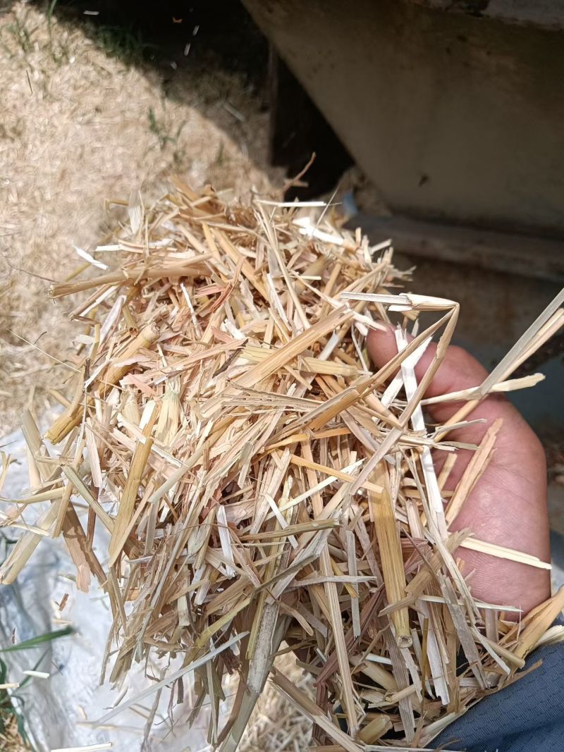 麦草