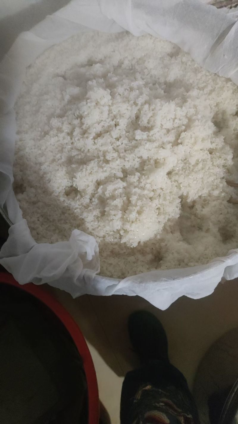 广东纯粮米酒，泡药，自饮，泡果酒，口粮酒